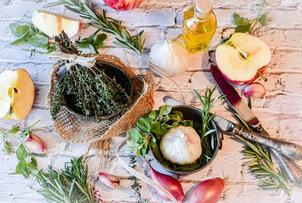 Rastlinné výťažky Rastlinné výťažky